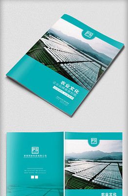 塑造卓越品牌形象 专业企业形象策划服务与高效PPT模板